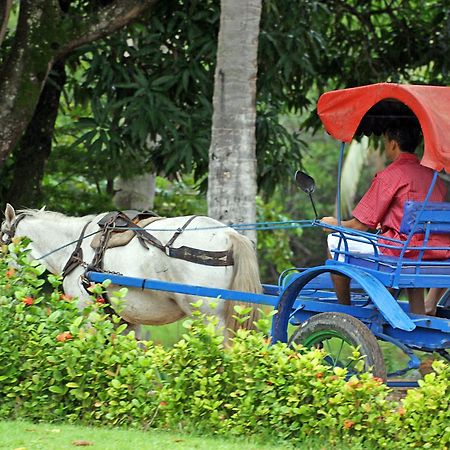 فندق Eco Pousada Paraiso Dos Coqueirais جاباراتينغا المظهر الخارجي الصورة