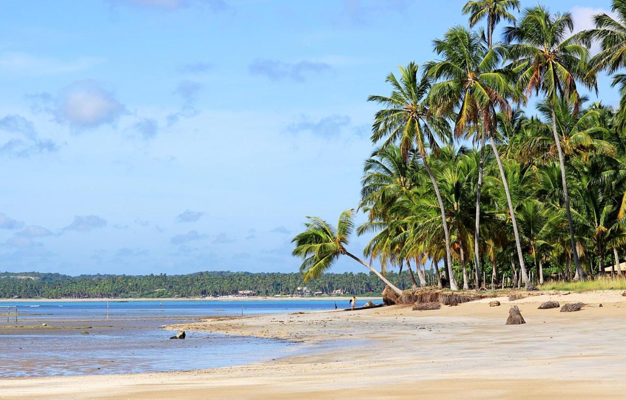 فندق Eco Pousada Paraiso Dos Coqueirais جاباراتينغا المظهر الخارجي الصورة