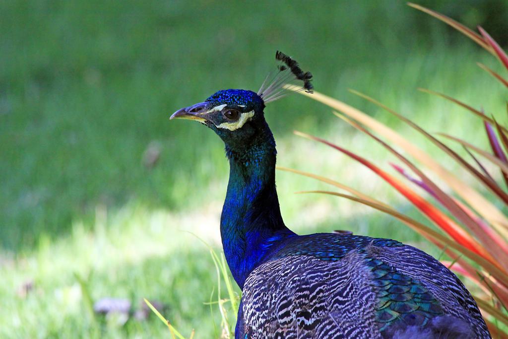 فندق Eco Pousada Paraiso Dos Coqueirais جاباراتينغا المظهر الخارجي الصورة