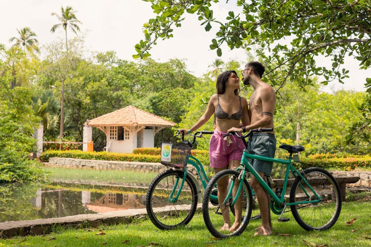 Eco Pousada Paraiso Dos Coqueirais جاباراتينغا المظهر الخارجي الصورة
