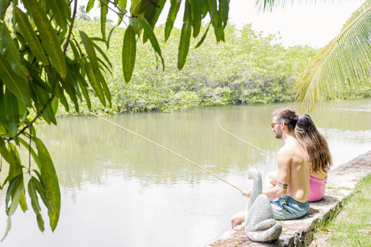 فندق Eco Pousada Paraiso Dos Coqueirais جاباراتينغا المظهر الخارجي الصورة