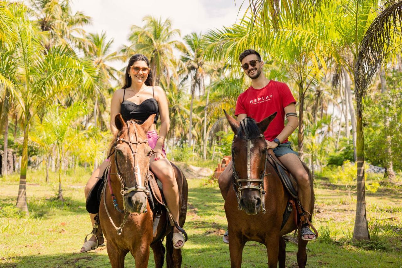 Eco Pousada Paraiso Dos Coqueirais جاباراتينغا المظهر الخارجي الصورة