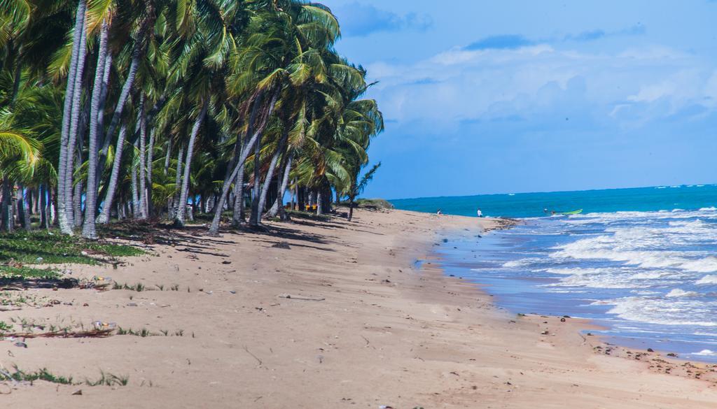 فندق Eco Pousada Paraiso Dos Coqueirais جاباراتينغا المظهر الخارجي الصورة