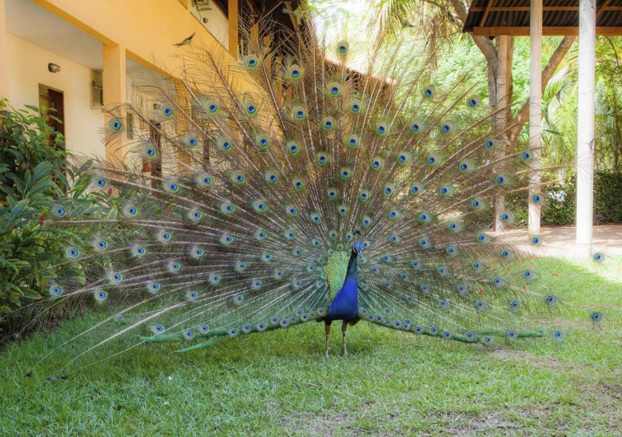 فندق Eco Pousada Paraiso Dos Coqueirais جاباراتينغا المظهر الخارجي الصورة