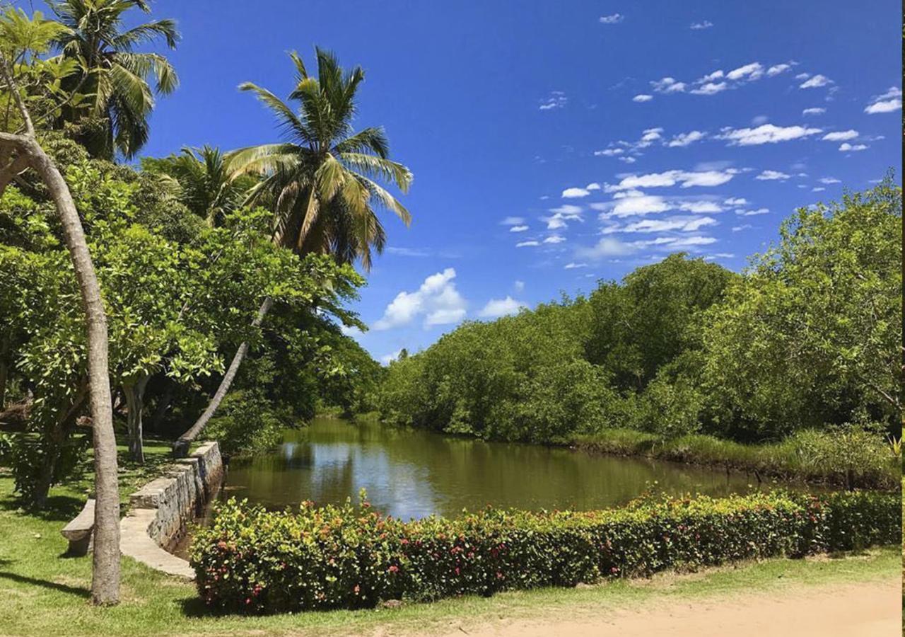 فندق Eco Pousada Paraiso Dos Coqueirais جاباراتينغا المظهر الخارجي الصورة