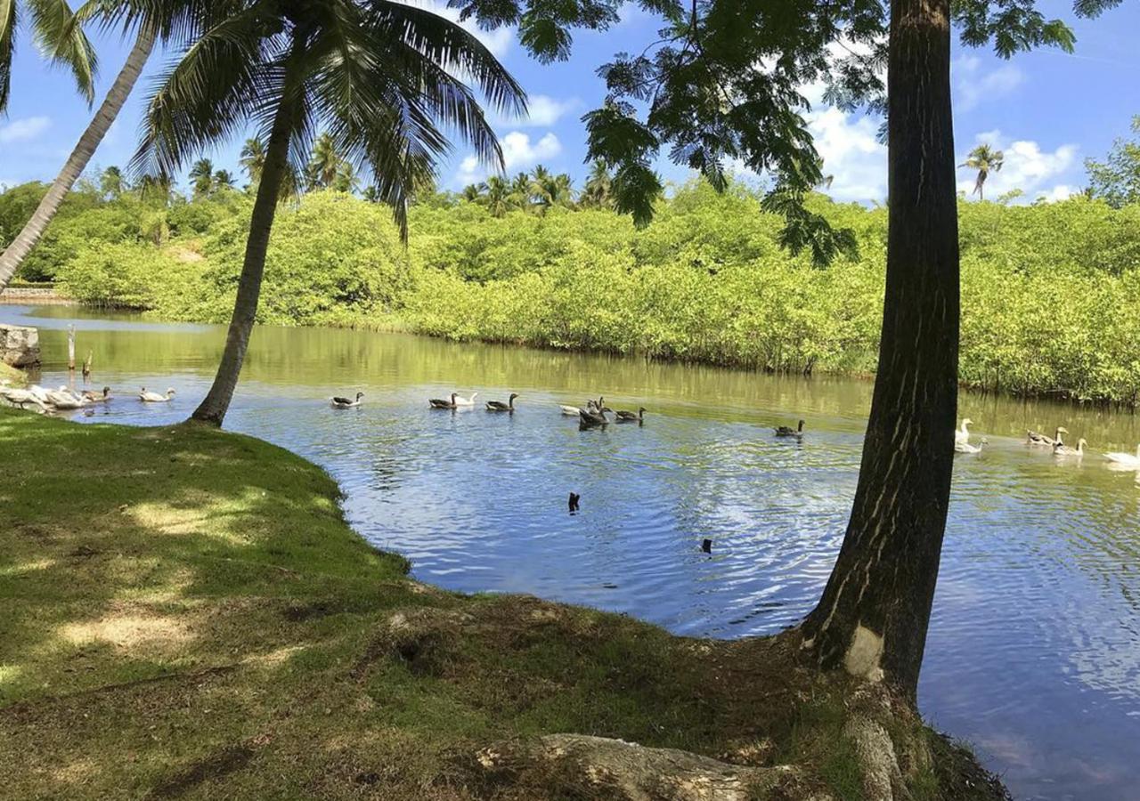 فندق Eco Pousada Paraiso Dos Coqueirais جاباراتينغا المظهر الخارجي الصورة