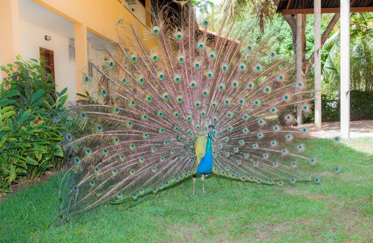 Eco Pousada Paraiso Dos Coqueirais جاباراتينغا المظهر الخارجي الصورة