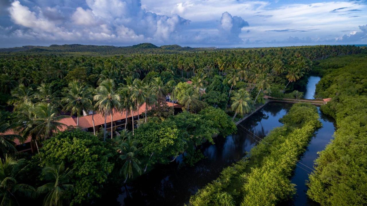 فندق Eco Pousada Paraiso Dos Coqueirais جاباراتينغا المظهر الخارجي الصورة