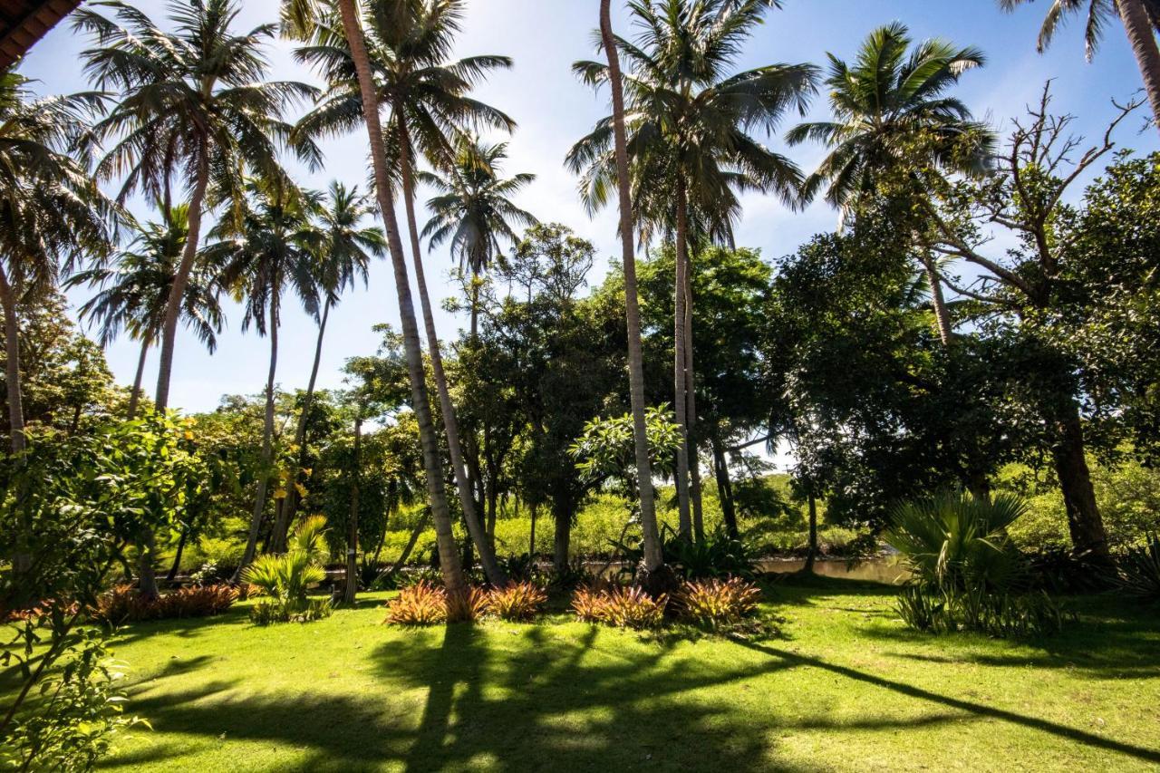 فندق Eco Pousada Paraiso Dos Coqueirais جاباراتينغا المظهر الخارجي الصورة