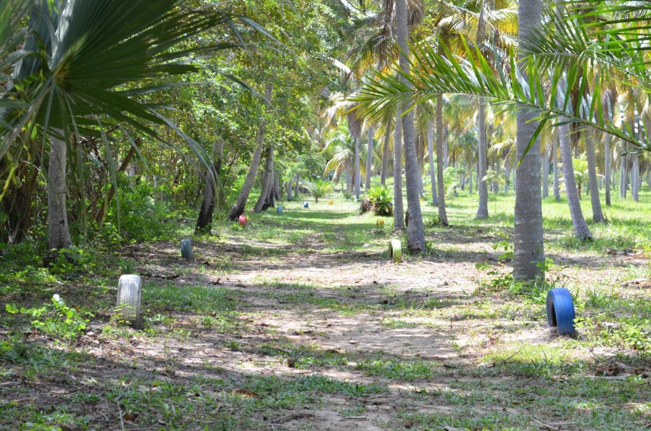 فندق Eco Pousada Paraiso Dos Coqueirais جاباراتينغا المظهر الخارجي الصورة